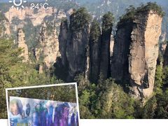 -印象鲵宴·张家界地标美食名片(溪布街店)