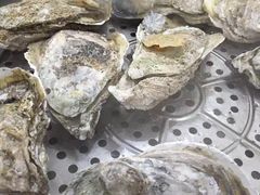 -蚝专家(北滘店)