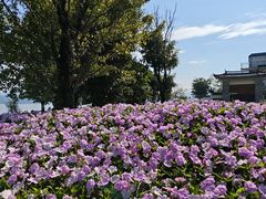 -大理洱海