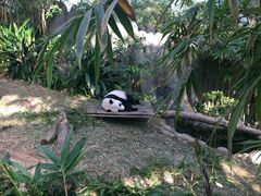 美景-河川生态园