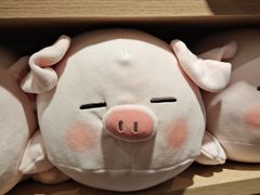 -爪爪西施