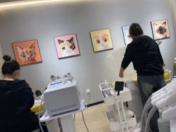 -洗脸猫·洗脸吧