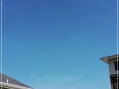 -奈雪的茶(永嘉天地东百城店)