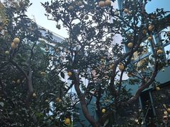 -浙江大学(玉泉校区)