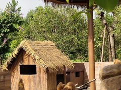 -佛冈森波拉度假区