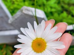 -小仙居·农家宴烤羊· 农庄