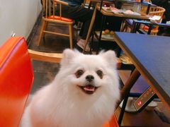 -煲宫(华润万象城店)