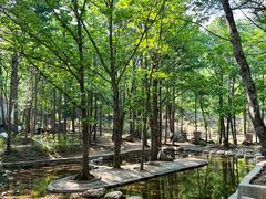 -洛阳白云山景区