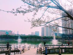 -西北湖绿化广场