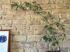 -上席擂茶·新中式青年茶馆(古城店)