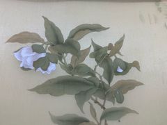 -八哥美术·成人美术画室(总校区)