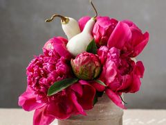 -派斯俊·本味(解放南路店)