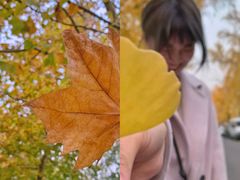 -三里屯东五街银杏大道