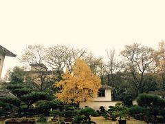 -湖南烈士公园(芙蓉区)