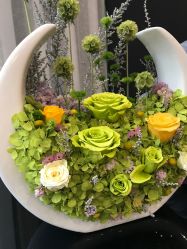 -Color卡诺婚纱礼服馆(南京严选店)