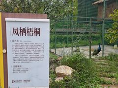 -梧桐人家中国太平国际健康颐养社区