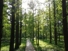 -国家植物园南园