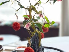 -鱼翅楼·津派砂锅鱼翅(水上公园店)