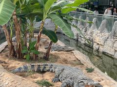 -石家庄市动物园