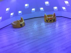 -馆陶手作坊DIY·陶艺·石塑粘土·石膏娃娃(车陂店)