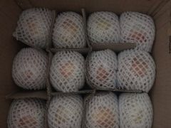 -果多美(三里河店)