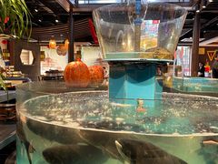 -魏铭鱼头捞饭(晋阳路店)