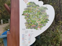 -云顶山风景区