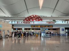 -重庆江北国际机场-T2航站楼