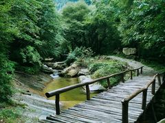 -少华山国家森林公园
