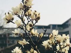 -锡师附小学(学前街校区)