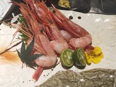 -小乔回转寿司(铁东万象汇店)