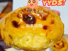-肯德基(金马店)