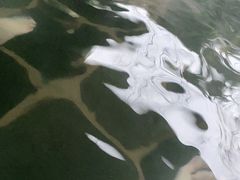 -融汇温泉