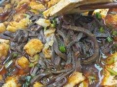 粉汤羊血-东关赵记粉汤羊血(兴庆北路店)