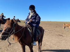-额尔古纳黑山头绿野马帮骑马场
