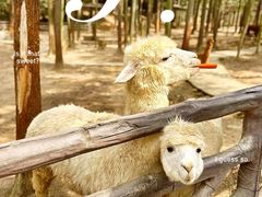 -李东农庄(中南百草园地标店)