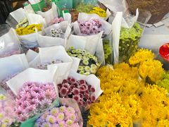 -溪岸路花鸟市场