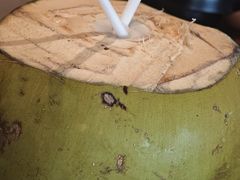 -创味·民间海南菜·非遗藤桥排骨(藤桥·免税城店)