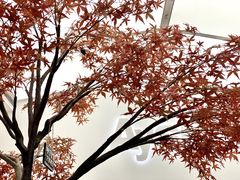 -艾薯夫妇Aysh(福田星河COCOPark店)