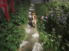 -菌林天下·野生菌汤锅