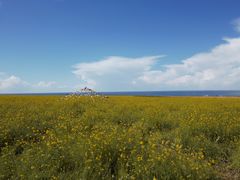 -青海湖国家重点风景名胜区