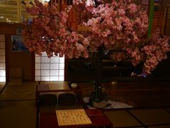 -汤泉良子(金源店)