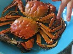 -白沙洲农产品大市场海鲜交易区