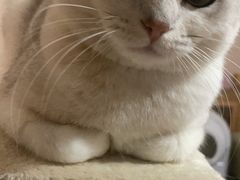 -宠颐生中康贝怡动物医院