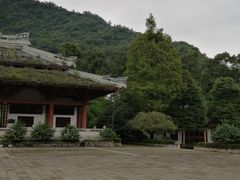 -安仁古镇