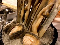 -鲜入围煮花胶鸡海鲜火锅