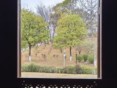 -东莞植物园