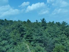 -苍山感通索道