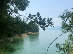 -千岛湖石林