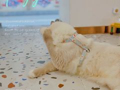 -FULL MOON满月咖啡